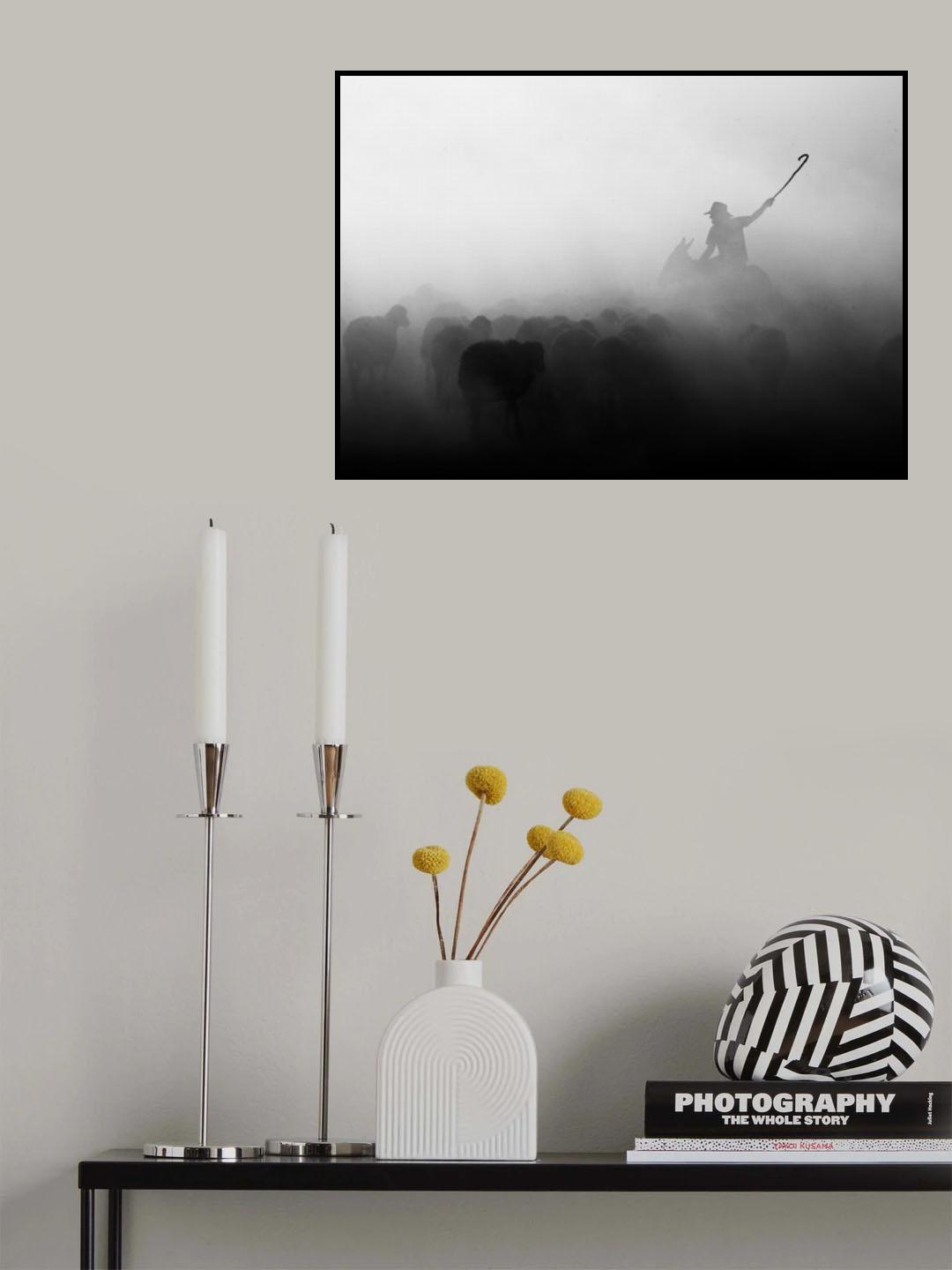 Shepherd herd Poster och Canvastavla