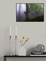 Spring. Poster och Canvastavla