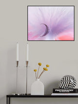 Poster och Canvastavla