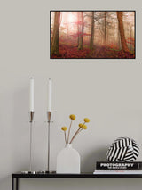 Forest scene. Poster och Canvastavla