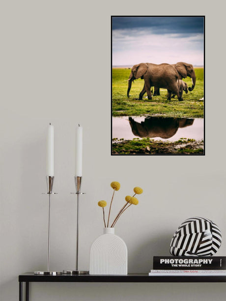 An Elephant Family Poster och Canvastavla