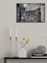 s/t Poster och Canvastavla