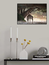 Giraffe Poster och Canvastavla