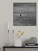 Poster och Canvastavla