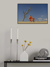 Dance Me To the End of Love Poster och Canvastavla
