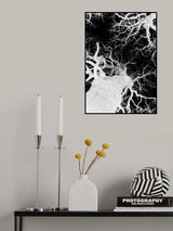 Oak Tree 02 Poster och Canvastavla
