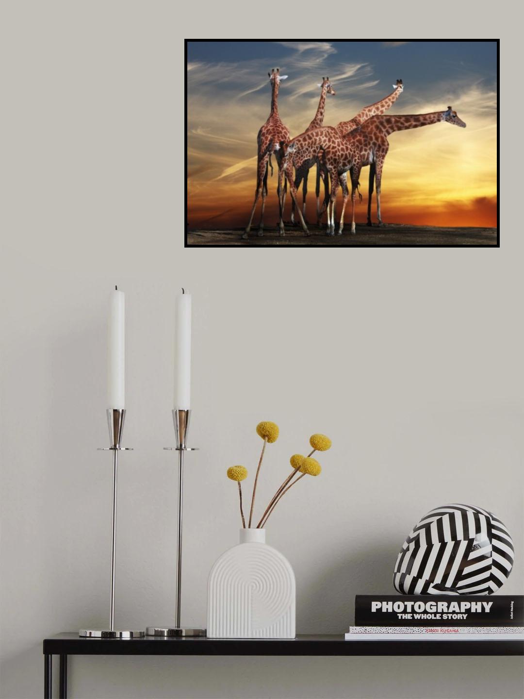girafes meeting Poster och Canvastavla