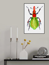 Pseudaplemonus artemisiae Poster och Canvastavla