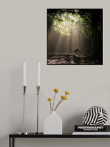 Light Curtain Poster och Canvastavla