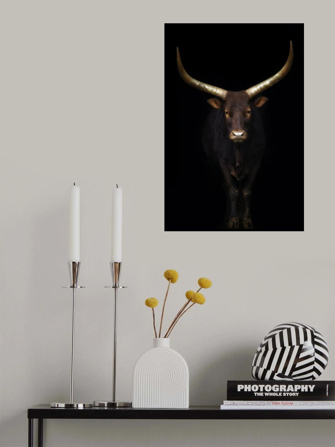 Intimate. Poster och Canvastavla