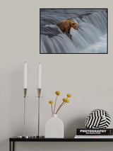 Steadfast Poster och Canvastavla