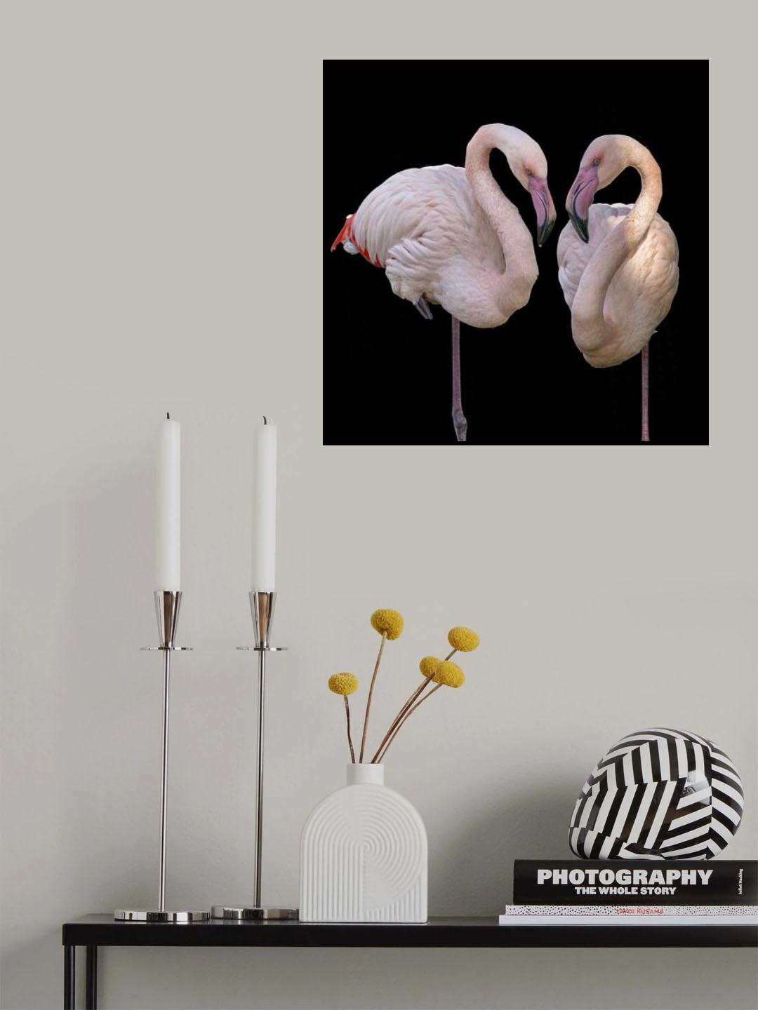 Elegant duo Poster och Canvastavla
