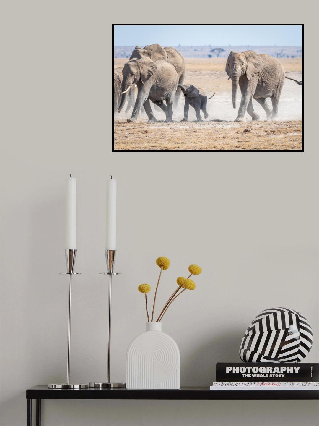 Slow down mom.... Poster och Canvastavla