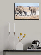 Slow down mom.... Poster och Canvastavla