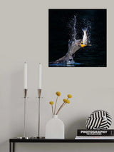 Poster och Canvastavla