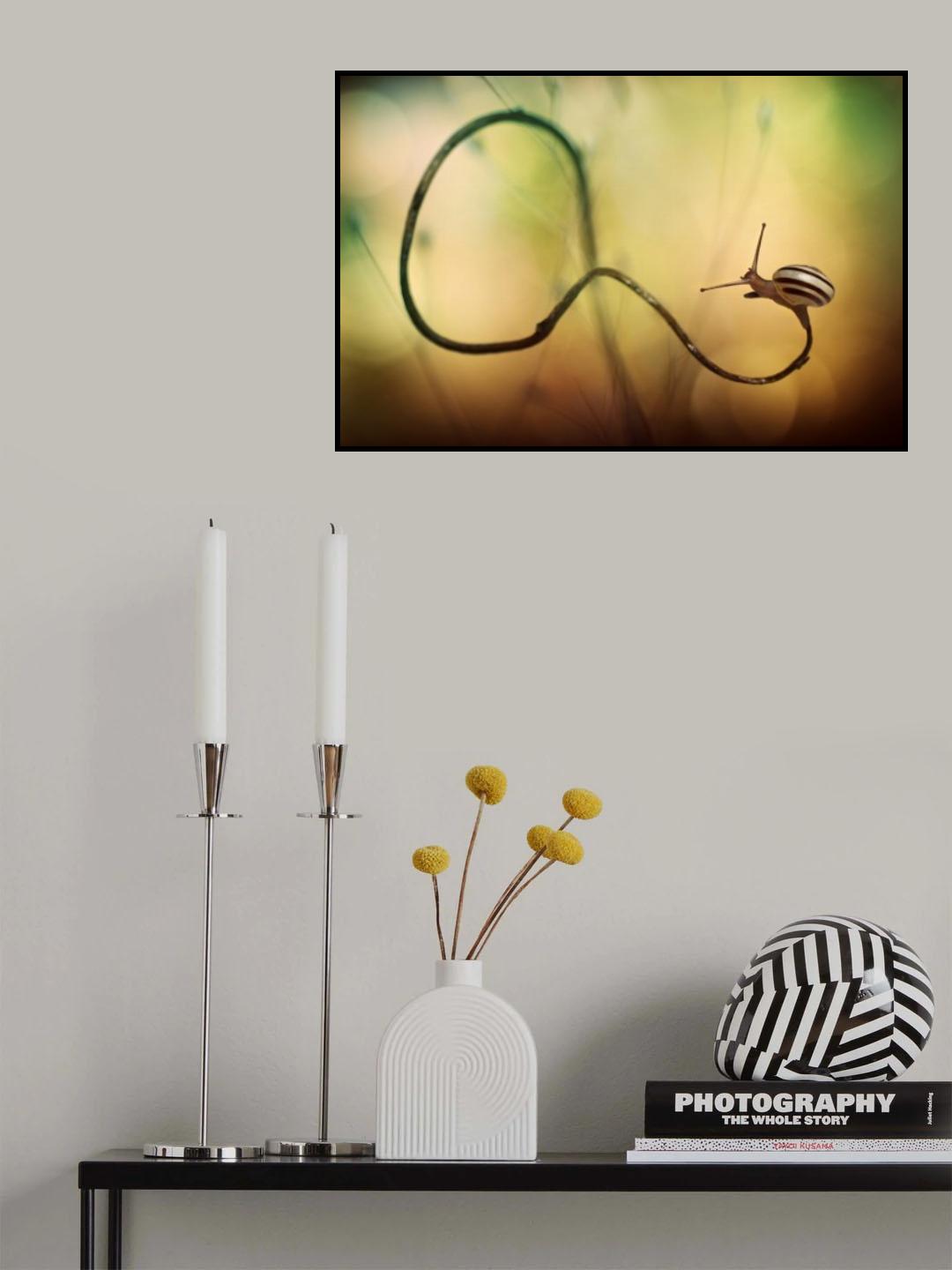 Rodeo Poster och Canvastavla