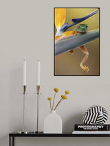 Hanging On Poster och Canvastavla