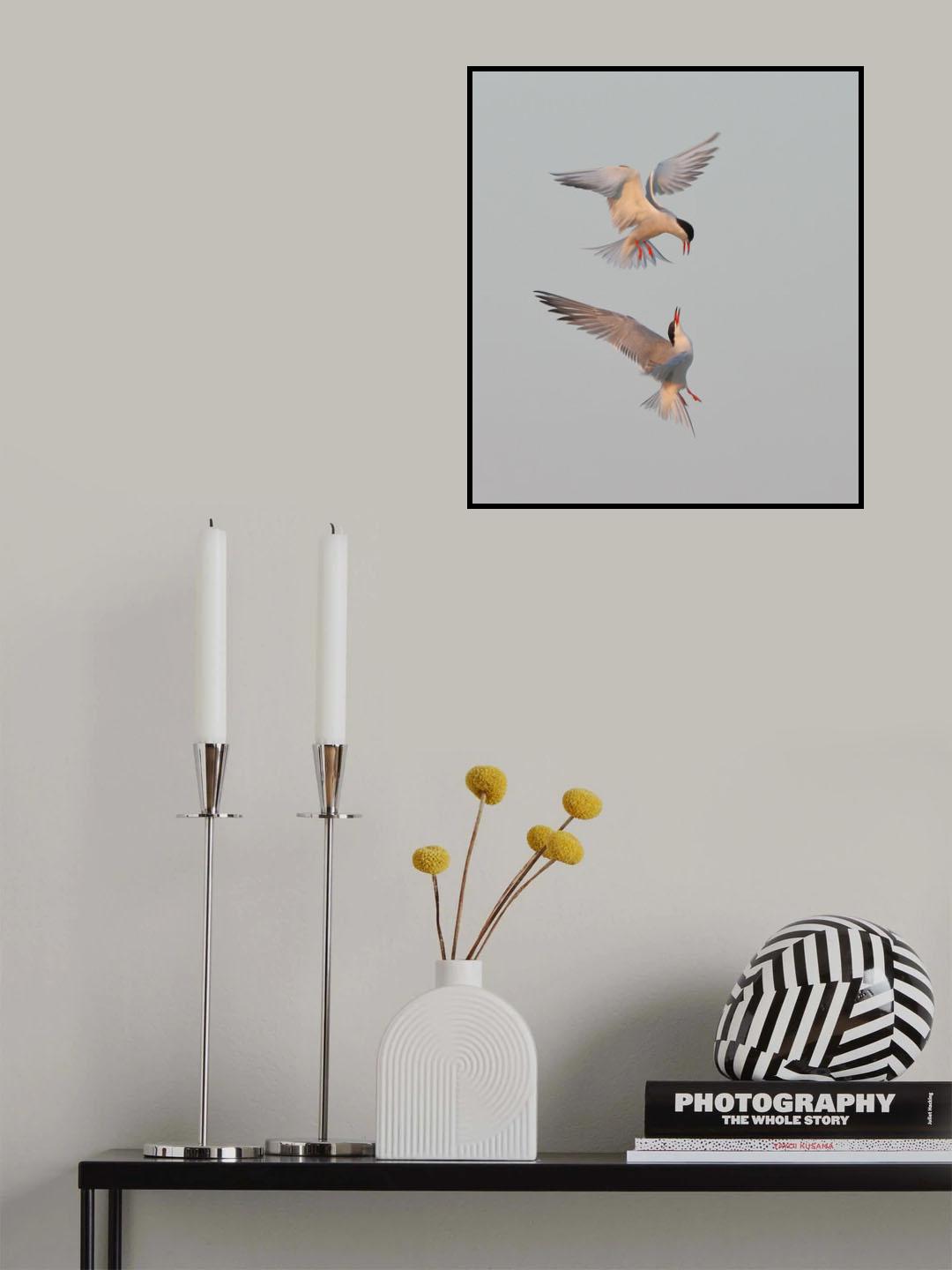 Fighting for nothing Poster och Canvastavla