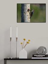 Lovers Poster och Canvastavla