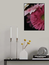 beautiful flowers Poster och Canvastavla