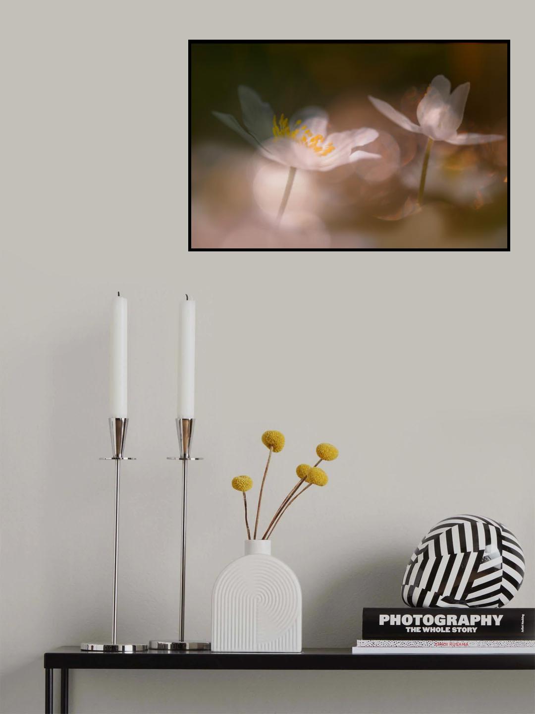 In the spotlight. Poster och Canvastavla