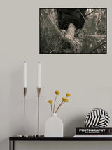 Poster och Canvastavla