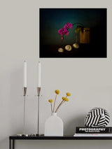 Orchid and sea shells Poster och Canvastavla