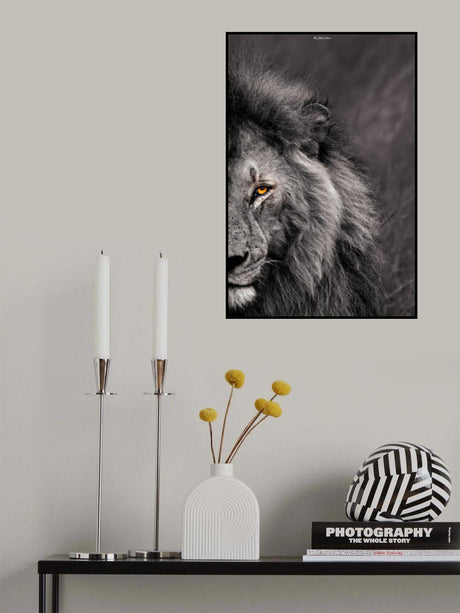 The King's Stare Poster och Canvastavla