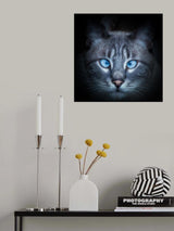 Hypno-blue Poster och Canvastavla