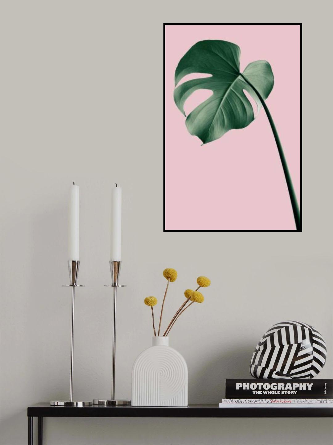 Monstera Pink No 05 Poster och Canvastavla