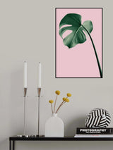 Monstera Pink No 05 Poster och Canvastavla