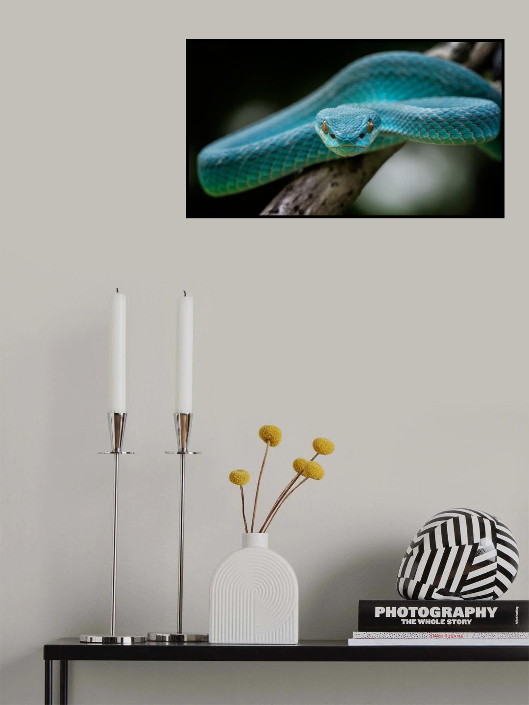 mr.blue Poster och Canvastavla