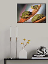 Treefrogs Poster och Canvastavla