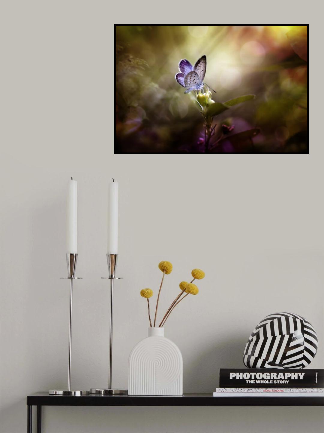 Ray of Light Poster och Canvastavla
