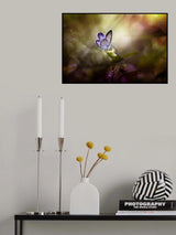 Ray of Light Poster och Canvastavla