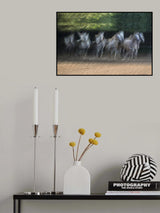 In front Poster och Canvastavla