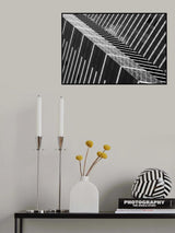 Dizzy Poster och Canvastavla