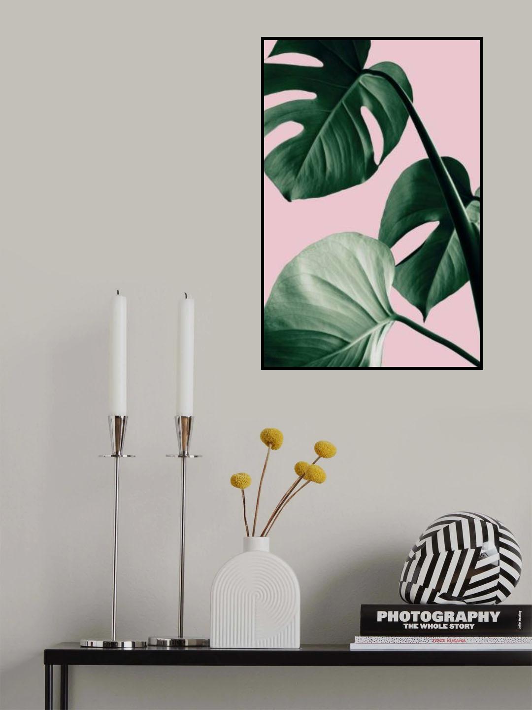 Monstera Pink No 07 Poster och Canvastavla