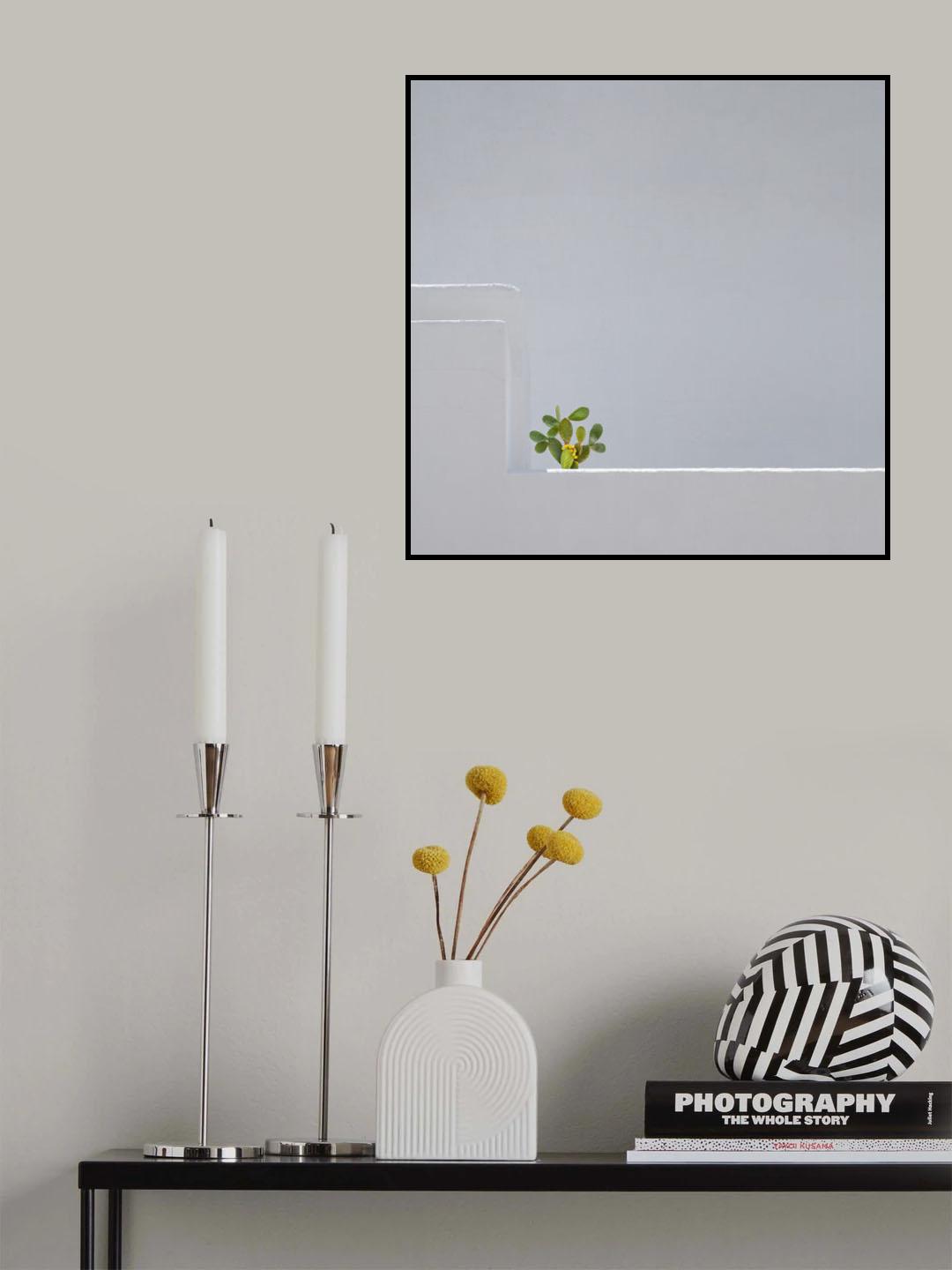 stand alone Poster och Canvastavla