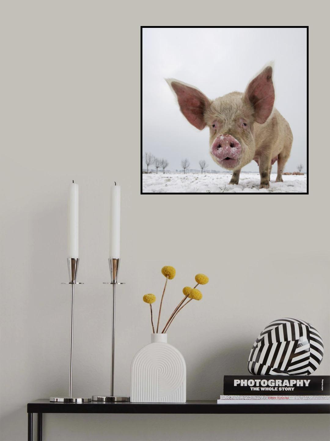 Winter Poster och Canvastavla