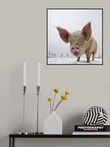 Winter Poster och Canvastavla