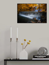 Autumn falls Poster och Canvastavla