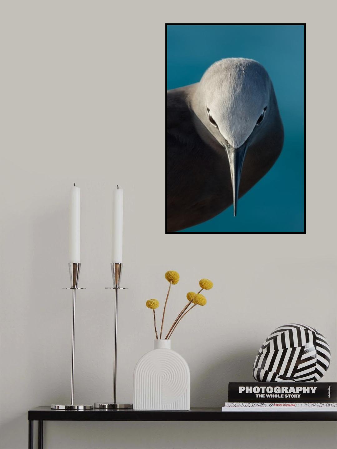 I bow Poster och Canvastavla