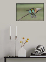 Pair of Bee Eater Poster och Canvastavla