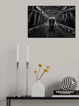 Carriage on Covered Bridge Poster och Canvastavla