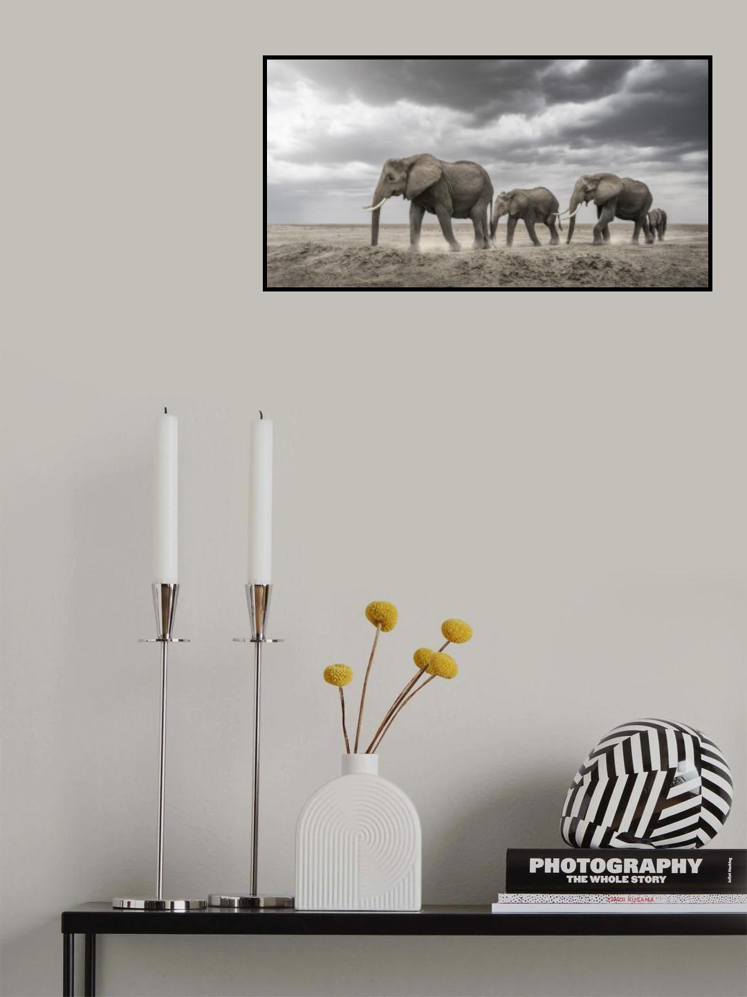 Gentle giants Poster och Canvastavla