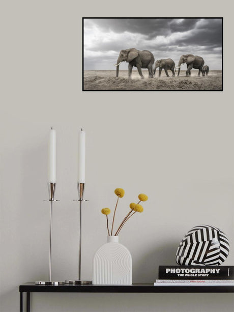 Gentle giants Poster och Canvastavla