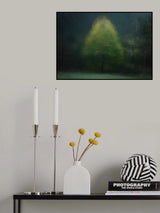 Jackdaw in the woods Poster och Canvastavla