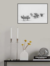 White Carpet Poster och Canvastavla