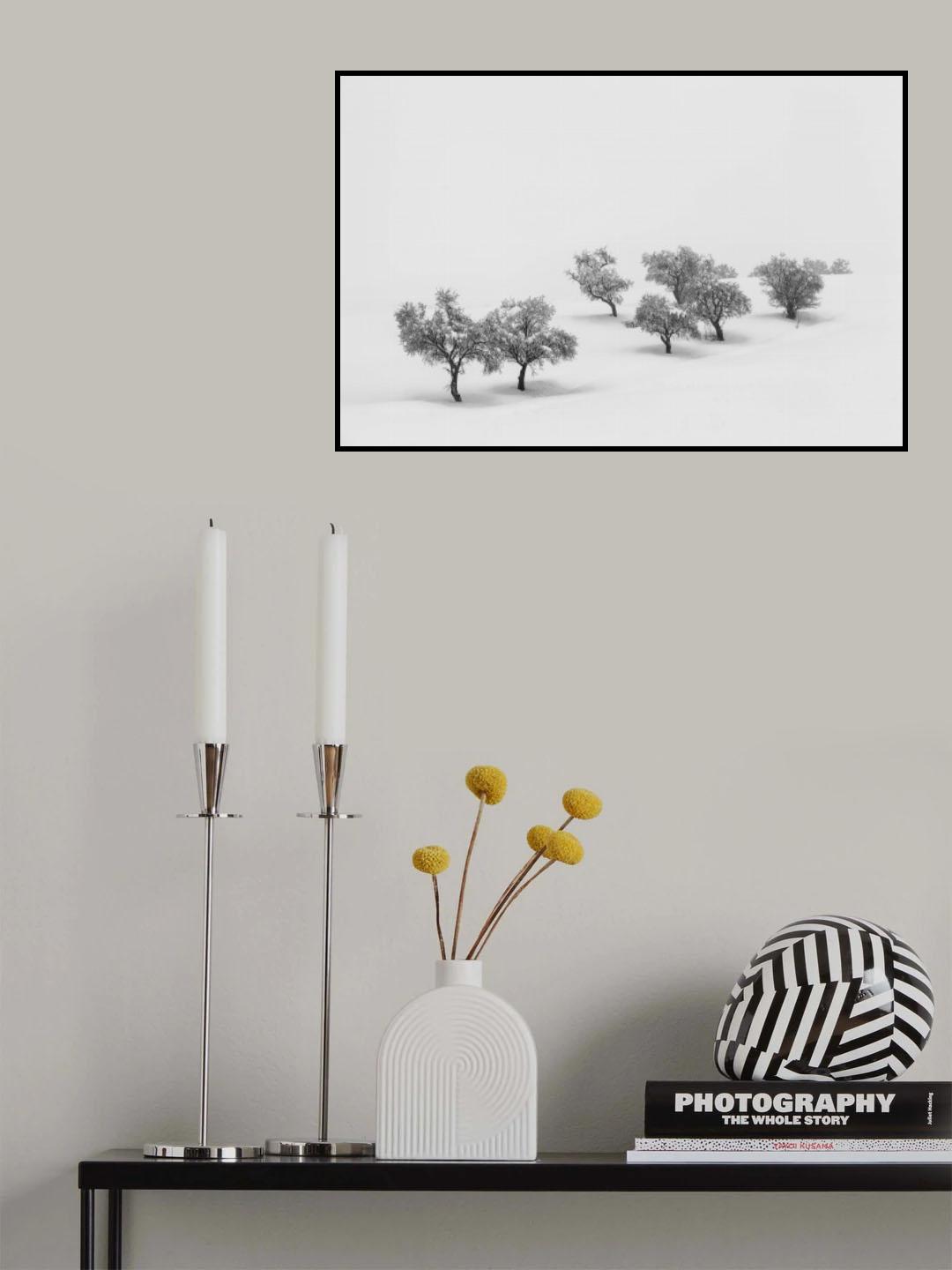 White Carpet Poster och Canvastavla